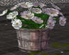 BR Bucket Flower 1