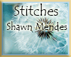 Stitches | Shawn Mendes