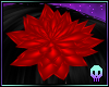 Red Hair Blossoms