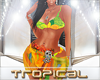 $TM$ Tropical Bikini Toc