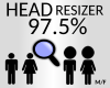 head resizer 97.5 %