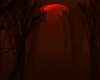 Haunted forest-Halloween