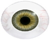 male Eye 2