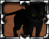 !P^ Black kitten elfic