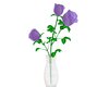 purple rose in vase
