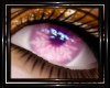 !T! Eyes | Nixie 6
