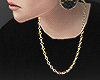 $ Gold Chain