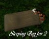 Sleeping Bag for Couples