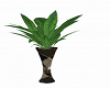 Plant With Vase 2