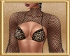 〆 Sexy Fishnet LLT E