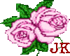 Pink Roses 06