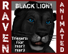 BLACK LION!