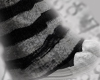 𝓐| Clove