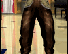 LV Pant