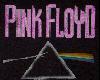 (WIIB)Pink Floyd shirt