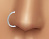 *TJ* Plain NoseRing R S