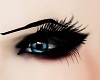SL Male Makeup & lashes
