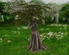 Tree Woman