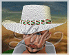 JA" Mexican white Hat