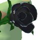 [MZ] Black Rose w/Silver