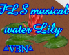 FLS Musical Water Lily R