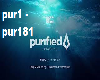 Purifeid - Nora & Pure