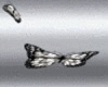 Amore Butterflies