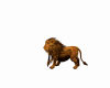 Pets Lion King