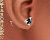 Silver Black Earring