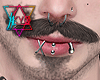 K| Rutger Beard MH