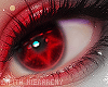 LH Christmas Eyes IV <