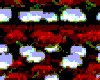 Falling ILU/ Roses