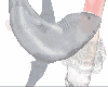 chomp | R