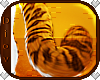 *D* Golden Tiger Tail V4