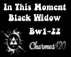 ITM-Blackwidow P1