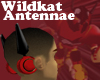 [BCS] Wildkat Antennae