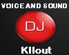 VOICE AND SOUND DJ