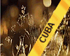 MGI CUBA SASH