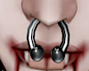 Big septum