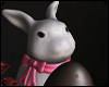 Easter Bunny Chocolate