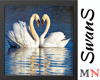 Swimming Swans animated