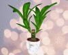 Flower Pot [No1]