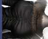 y̷ Black fur