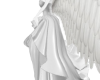 v. Angel White RL