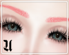 u| Coral Eyebrows