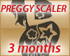 3 Months Preggo 
