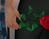 JV Valentine's R. Rose
