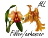 [ML]Fire bird & Orchid