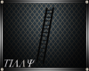 ~T~ WE Ladder