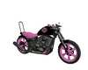 Harley Chick Biker